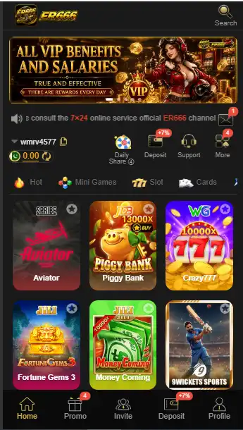 ER666 Game