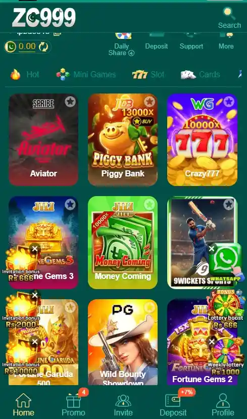 zc999 game